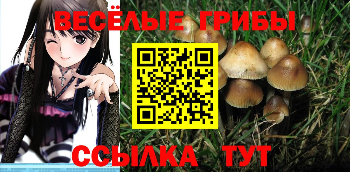 Псилоцибиновые грибы Magic Shrooms Советский