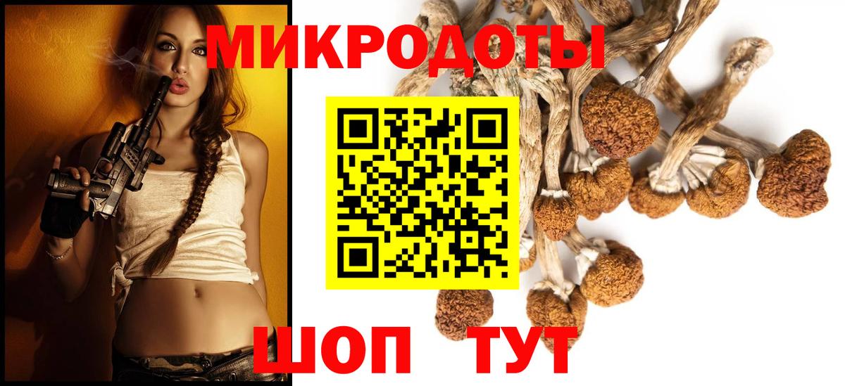 Галлюциногенные грибы Psilocybine cubensis  где продают наркотики  Советский  Вход с VPN 